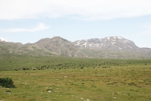 350 Yıllık Yayla Davası