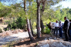 Ahmetler, Ali Karasını Kaybetti