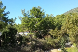 Ahmetler'in Yolları