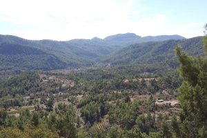 Ahmetler'in Yolları