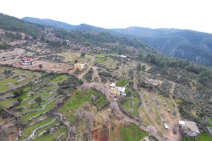 Kuşbakışı Ahmetler