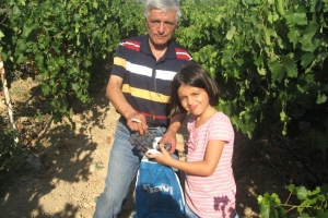 Ahmetler, Ali Karasını Kaybetti