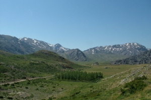 350 Yıllık Yayla Davası