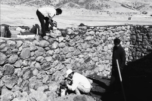 Düğmeli Ev Ustaları ve Sümer Tabletleri