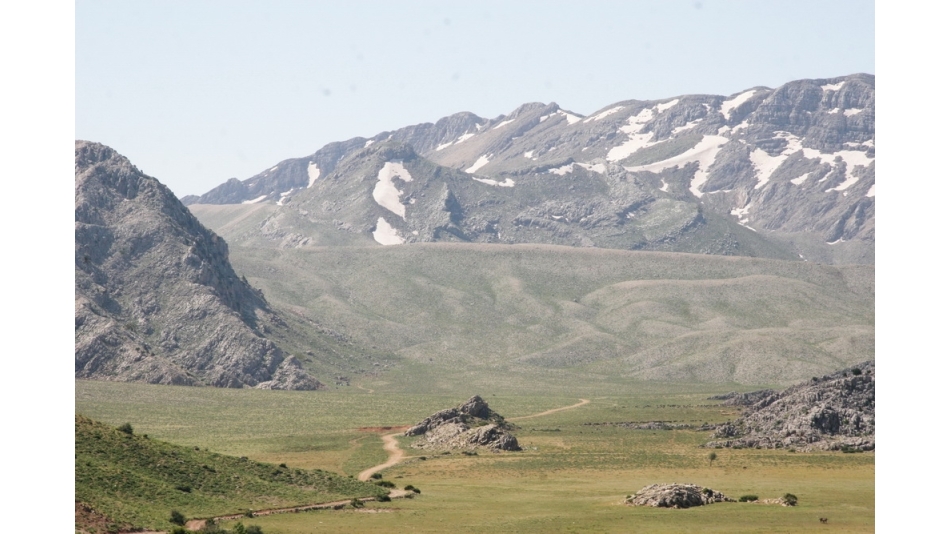 350 Yıllık Yayla Davası