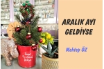 ARALIK AYI GELDİYSE