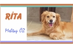 RİTA