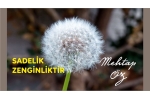 Sadelik Zenginliktir