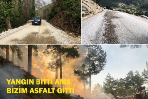 Yangın Bitti Ama Bizim Asfalt Gitti