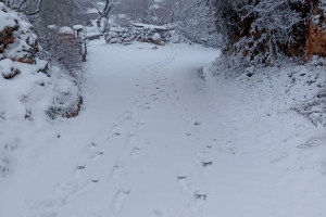 Ahmetler Kar Altında 