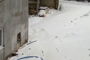 Ahmetler Kar Altında 