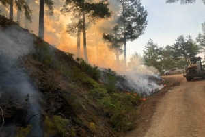 Bu Kadınlar Bu Yangını Niçin Söndürmüştü?