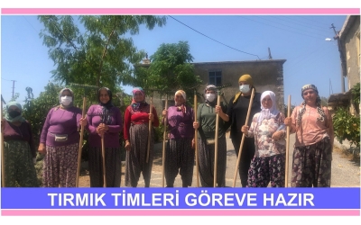 3- SU TAŞIYAN KARINCA