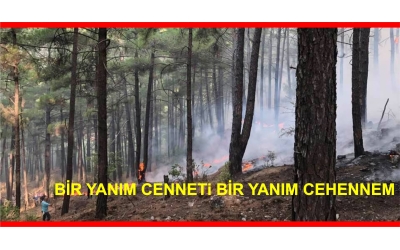 4- BİR YANIM CENNET BİR YANIM CEHENNEM