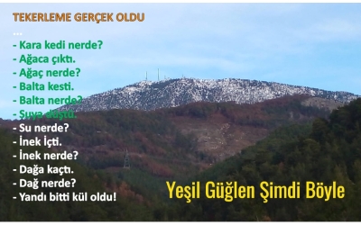 Bu Ormanlar Niçin Yanıyor?