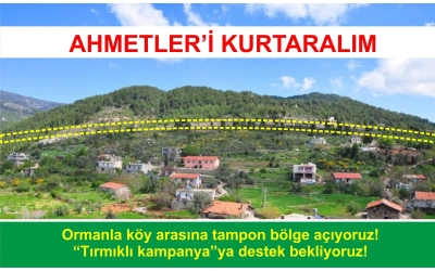 Ahmetleri Kurtaralım