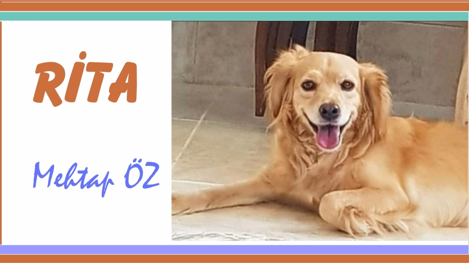 RİTA