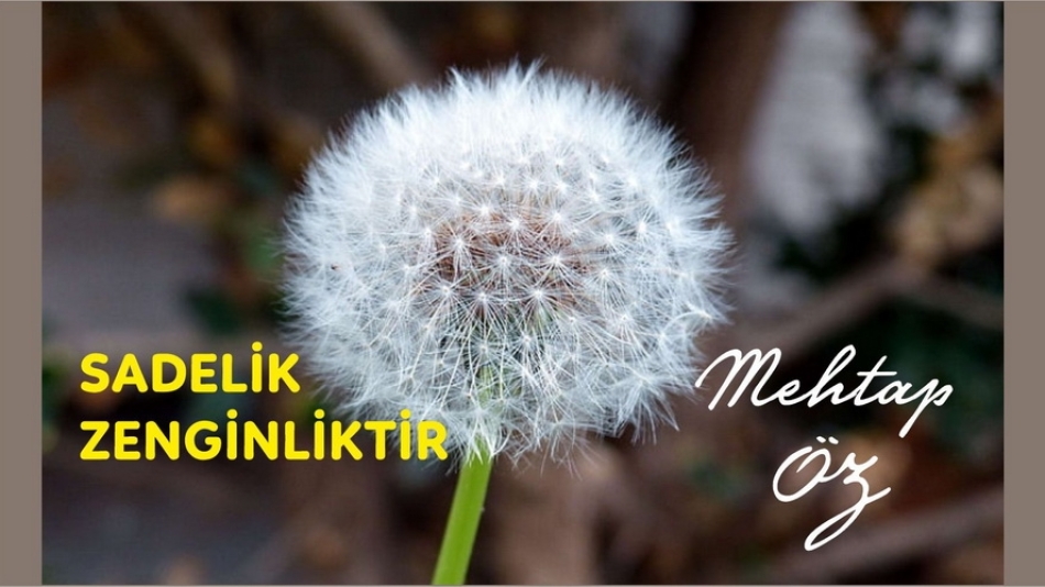 Sadelik Zenginliktir